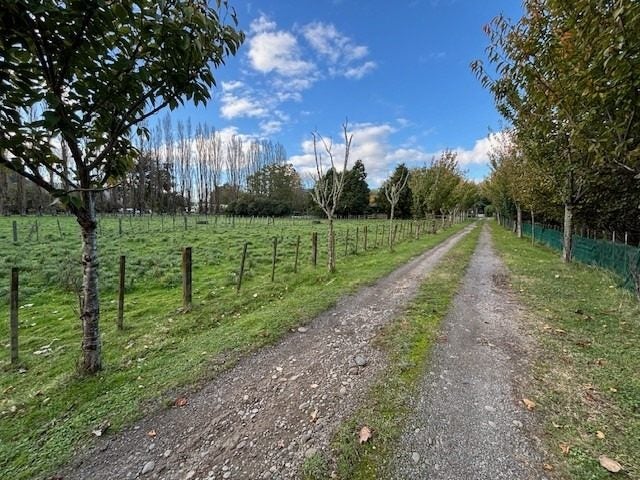 802 Papaiti Road, Papaiti, Whanganui - Carousel 17