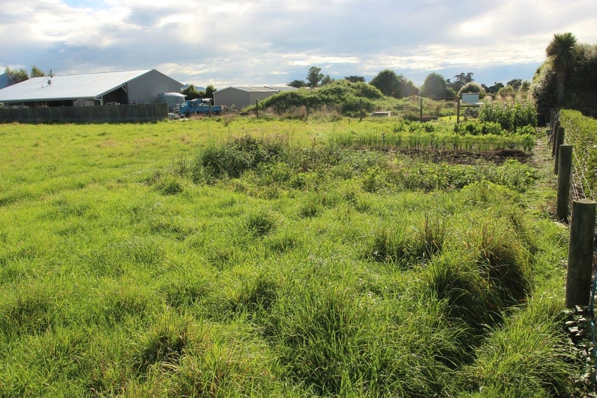 258D Mount Fyffe Road, Kaikoura Flat, Kaikoura - Carousel 14