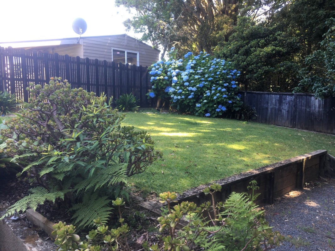 23A Tuatara Drive, Kamo, Whangarei - Carousel 2