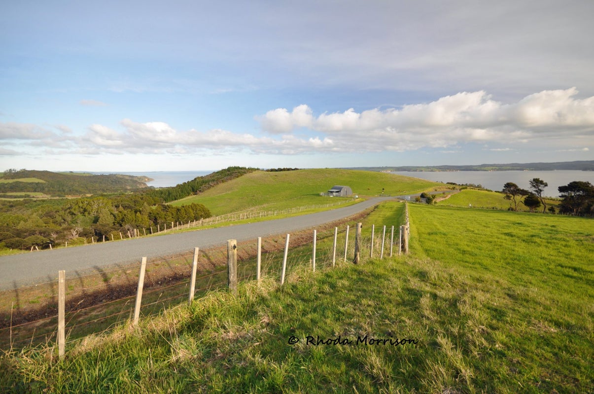 100 Wairoa Gorge Road, Wairoa Valley - Carousel 41
