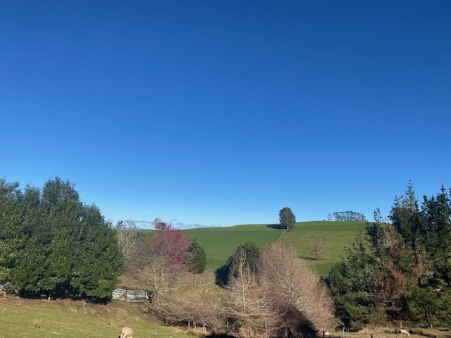 161 Te Tahi Road, Puketotara, Te Awamutu - Carousel 2