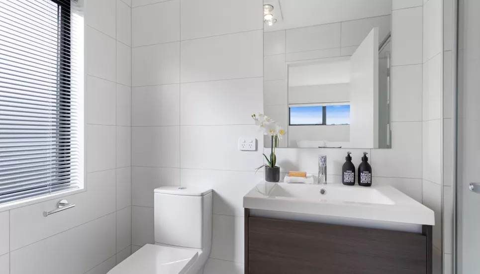 21 Adlam Lane, Takanini, Auckland - Carousel 9