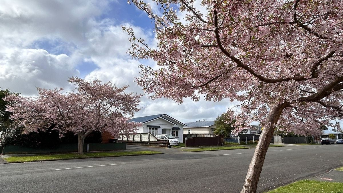 27 Chelwood Street, Takaro, Palmerston North - Carousel 1