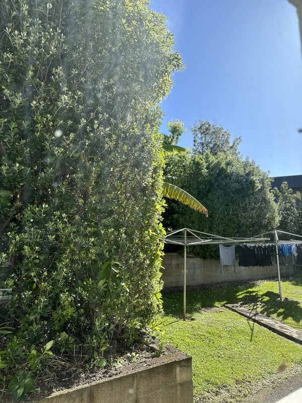 42A Don Croot Street, Morningside, Auckland - Carousel 5