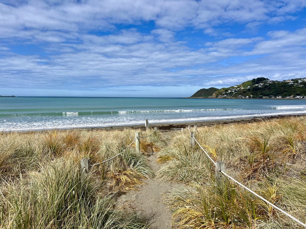 2/10 Lyall Parade, Lyall Bay, Wellington - Carousel 20