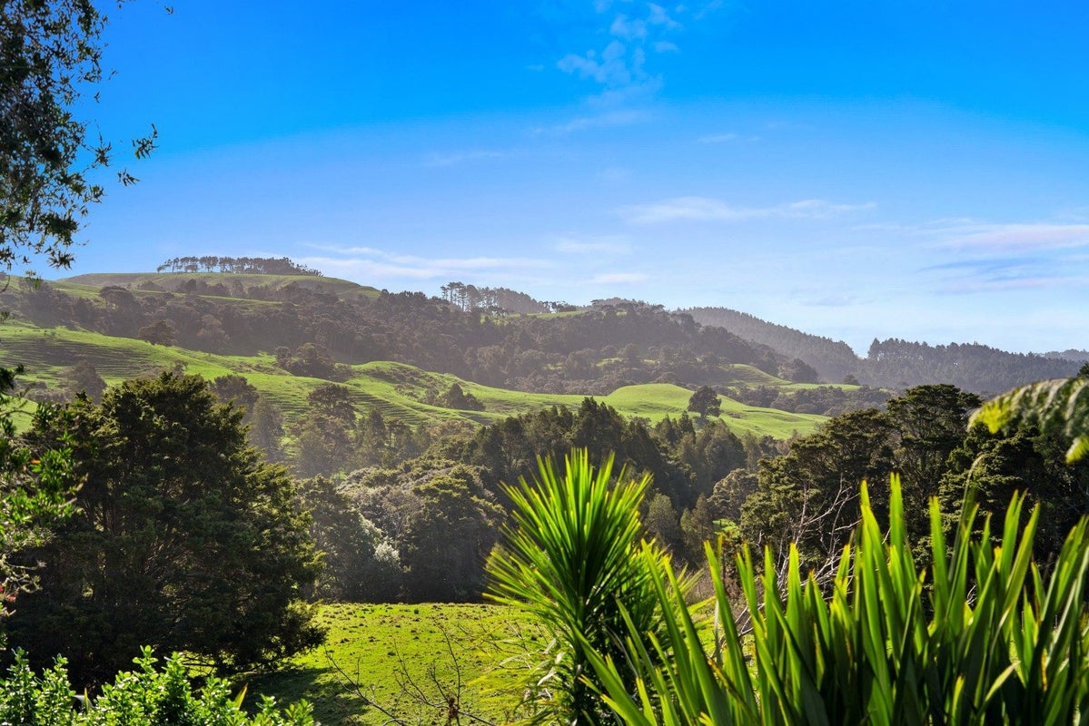 125A Taylor Road, Waikoukou Valley, Rodney - Carousel 2