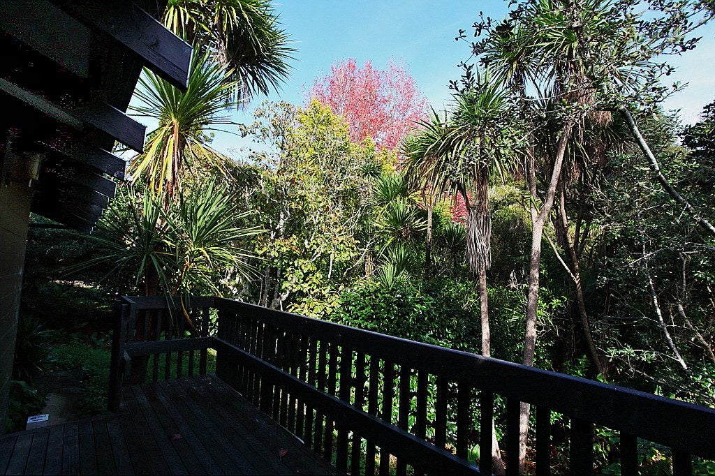 2/73 Stott Avenue, Birkdale, Auckland - Carousel 22
