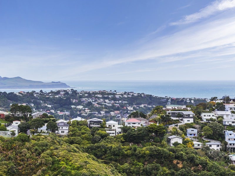 6 Virginia Grove, Brooklyn, Wellington - Carousel 2