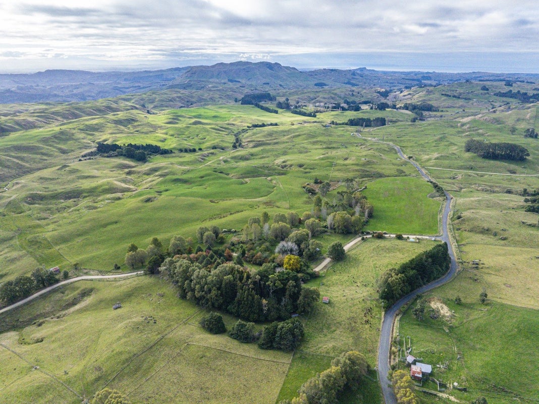 37 Tawa Road, Maraetotara, Havelock North - Carousel 23