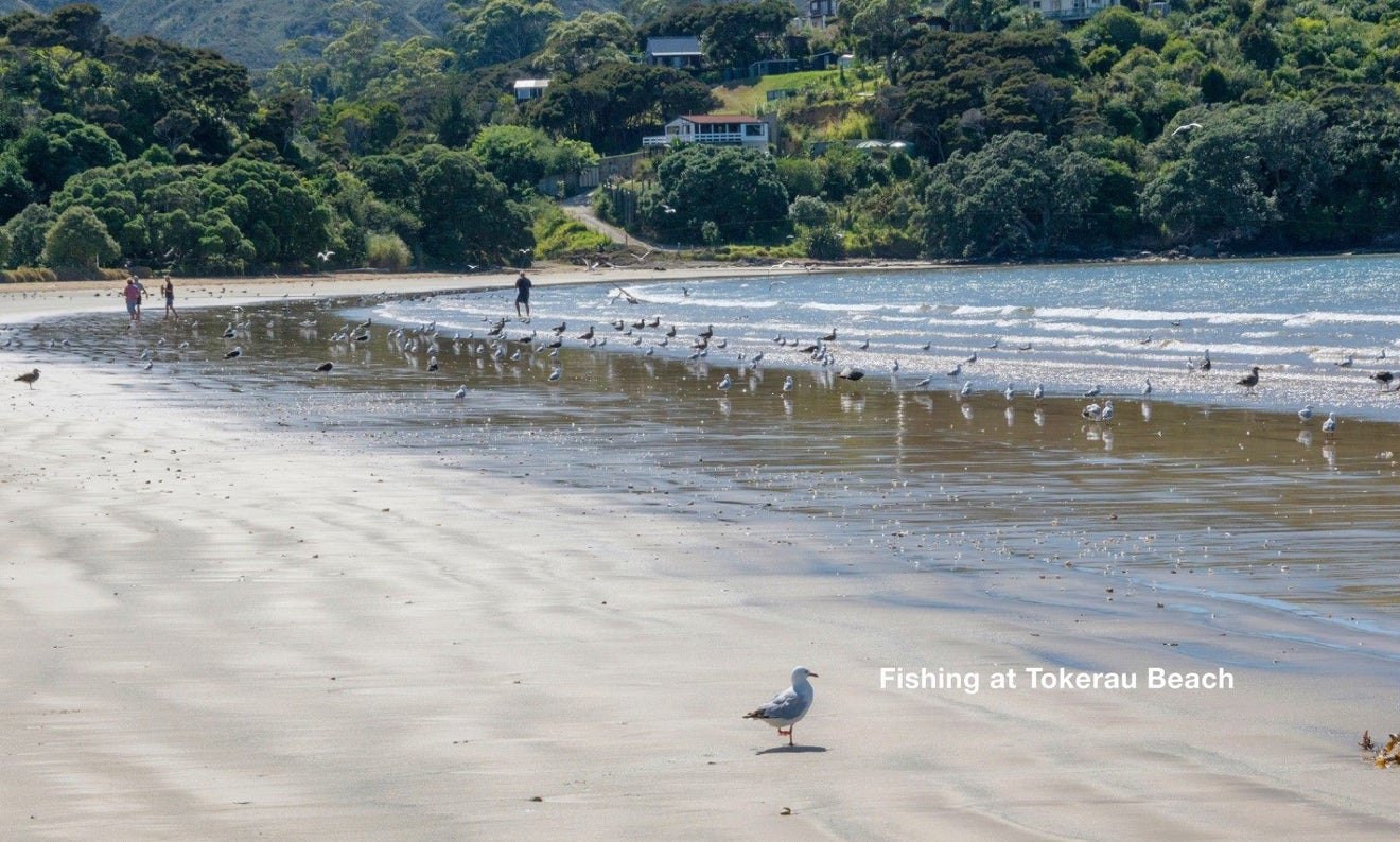 262 Tokerau Beach Road, Karikari Peninsula, Kaitaia - Carousel 15