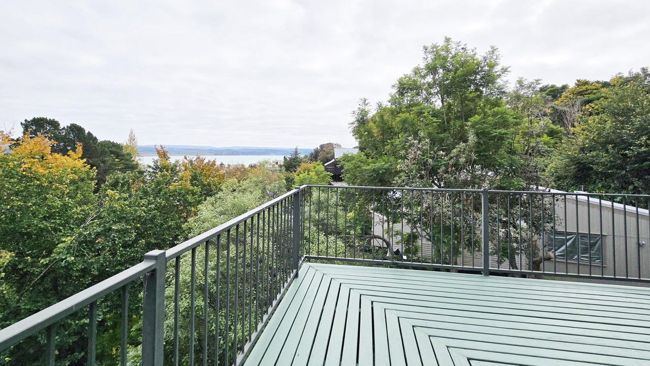27 Burns Road, Hospital Hill, Napier - Carousel 25