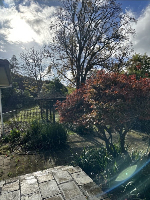 725 Highway 22, Tuakau - Carousel 16
