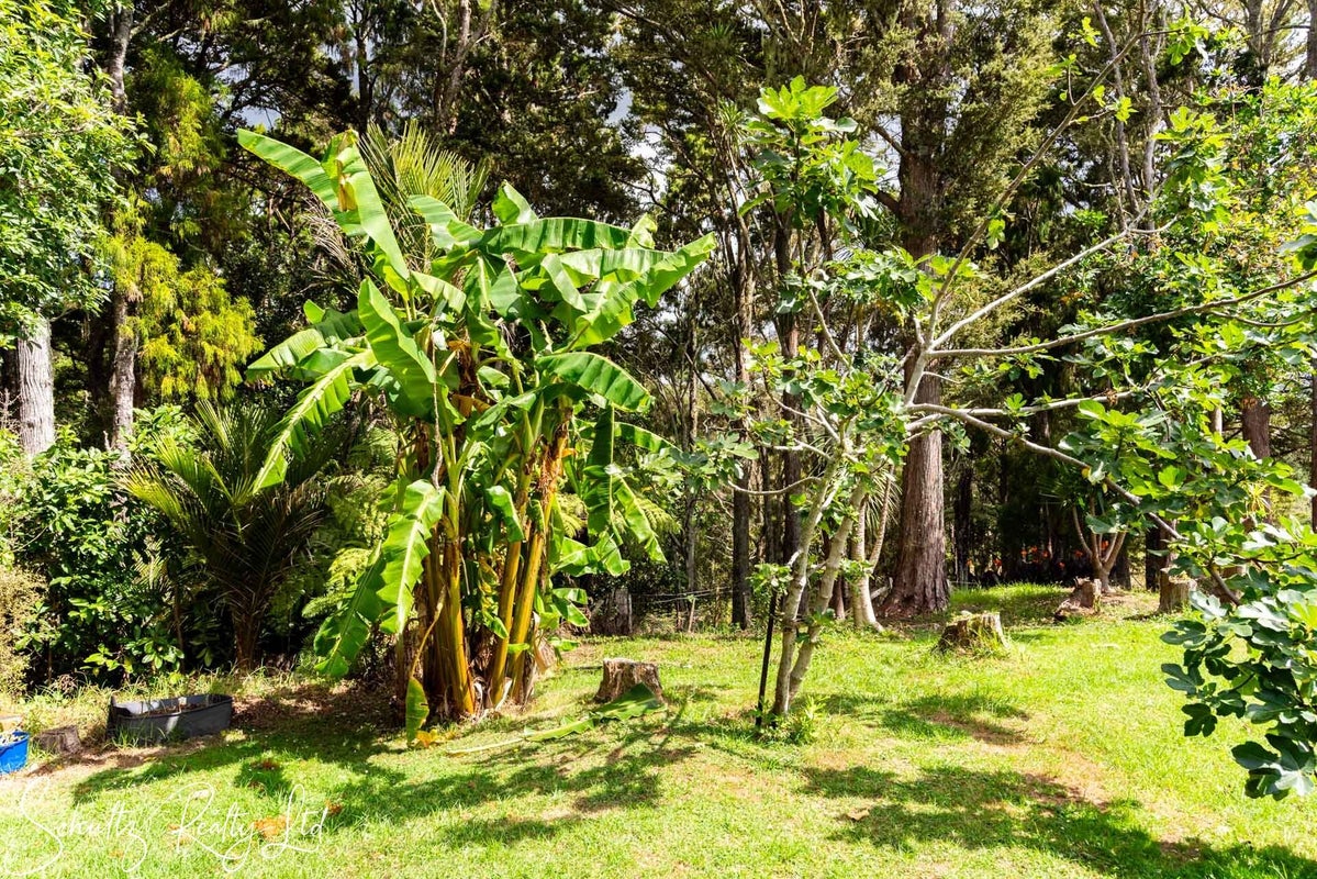 356 Bull Road, Waiotira - Carousel 50