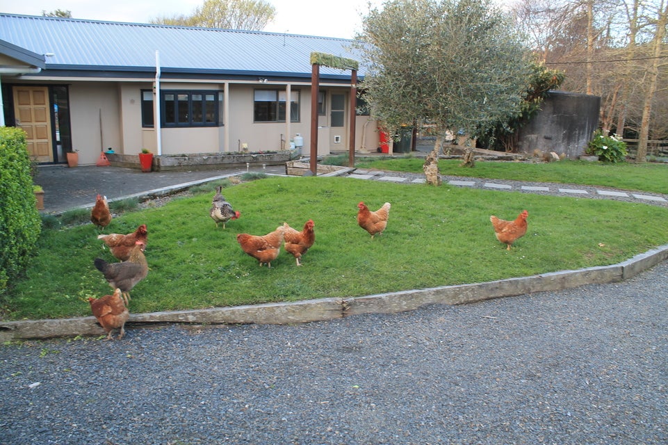 21 Ararimu Valley Road, Waimauku - Carousel 1