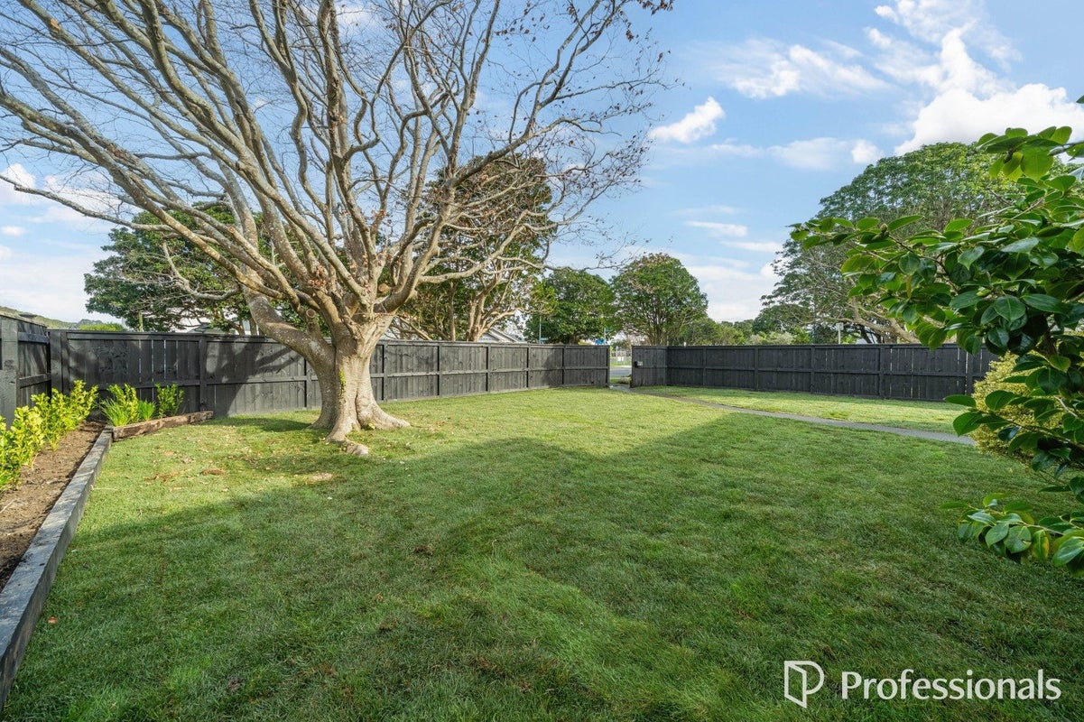 37 Hardy Street, Waterloo, Lower Hutt - Carousel 37