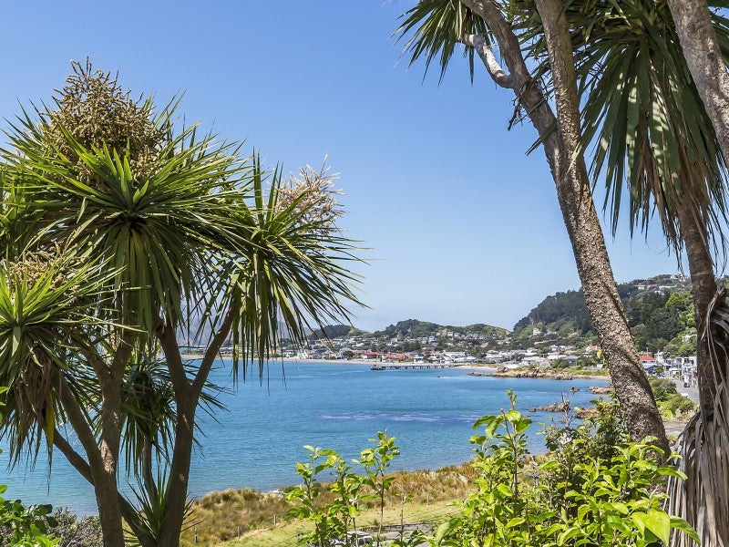 209 Marine Parade, Seatoun, Wellington - Carousel 14