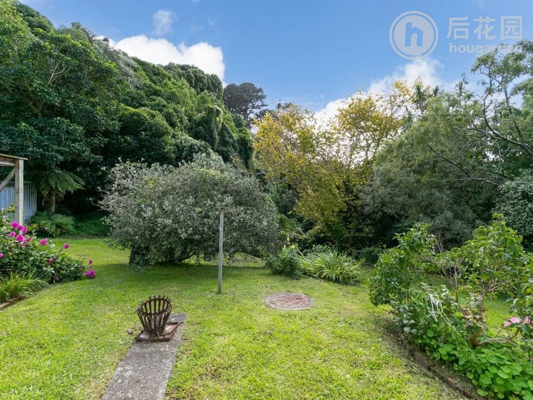 3/16 Balfour Street, Mornington, Wellington - Carousel 21