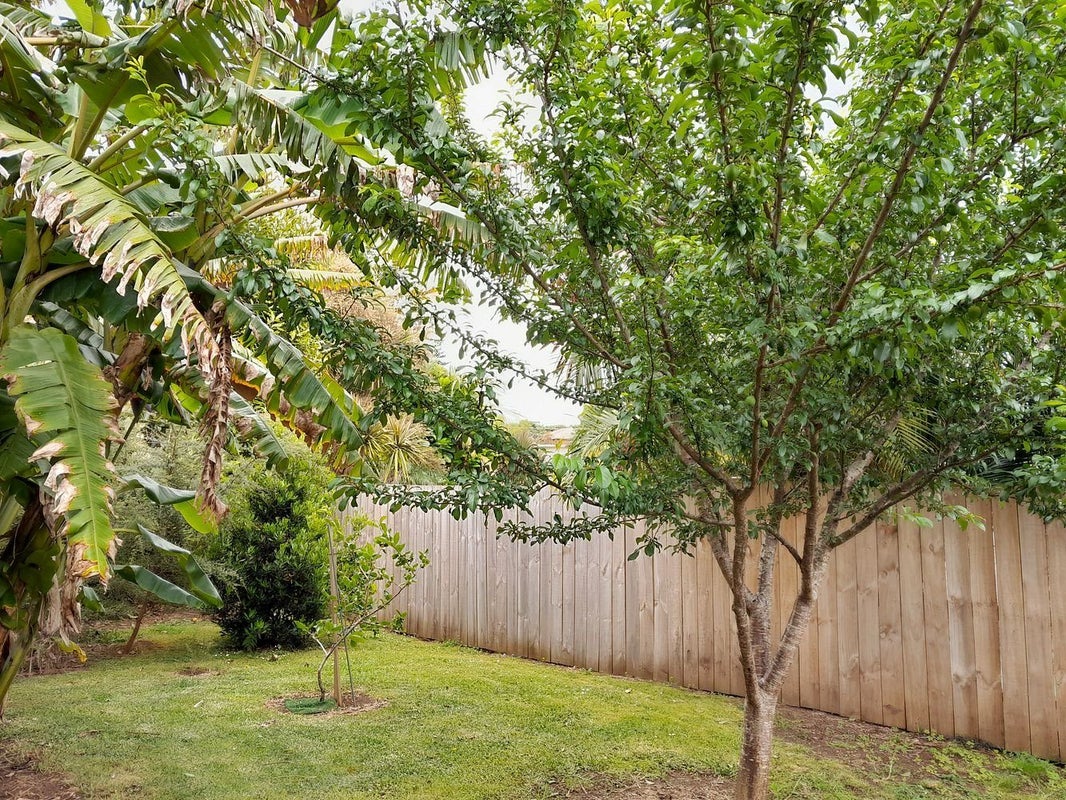 61 Carr Street, Kamo, Whangarei - Carousel 24