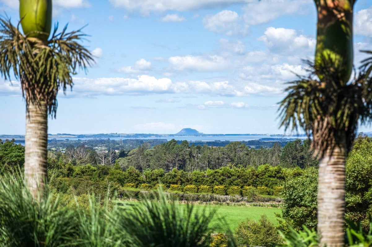 17B TYE ROAD, Tahawai, Katikati - Carousel 2