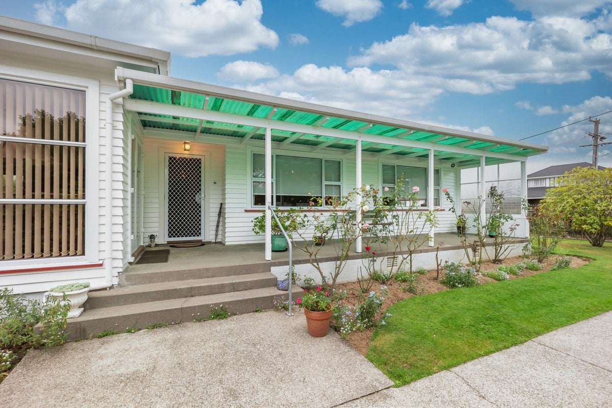 25 Roosevelt Street, Levin, Levin - Carousel 15