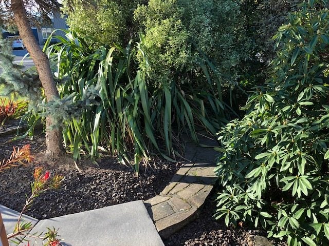 4 Leonard Place, Saint Martins, Christchurch - Carousel 22