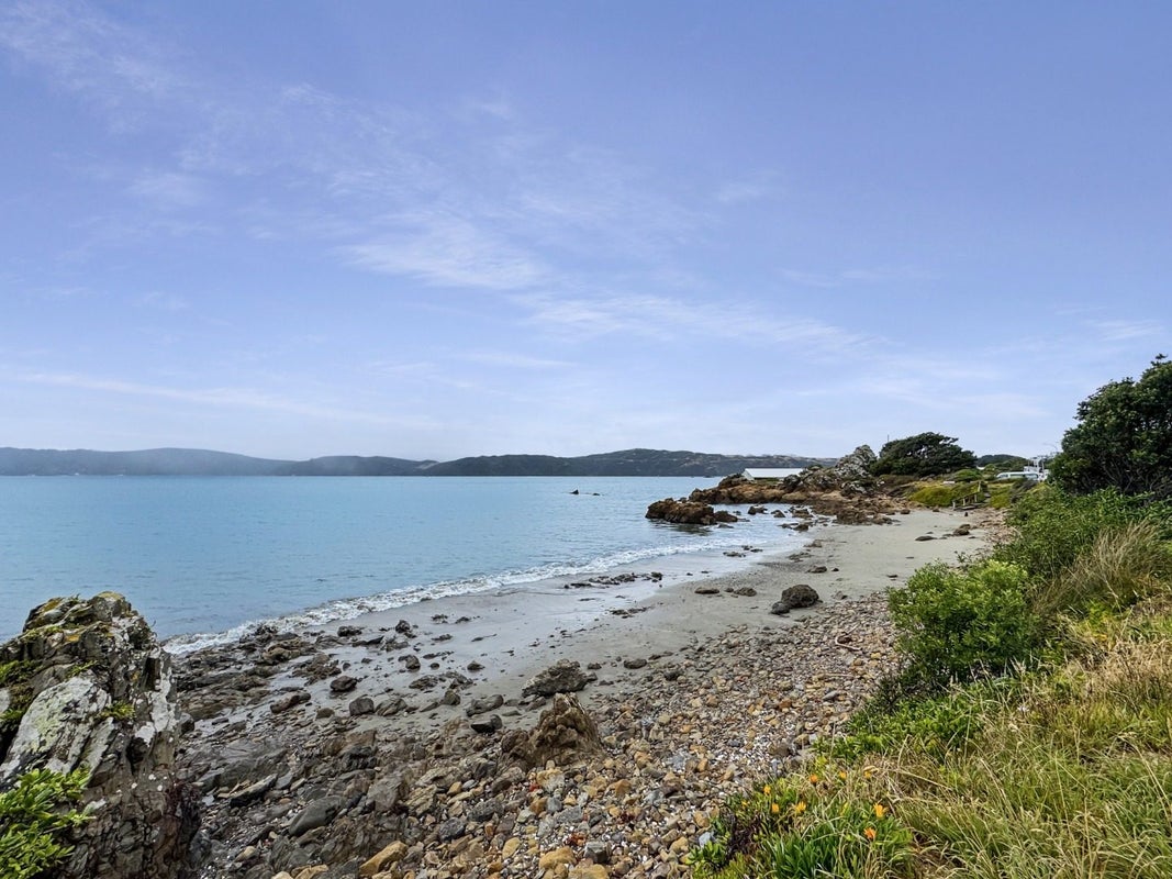 123 Marine Parade, Seatoun, Wellington - Carousel 27