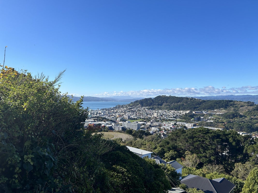 12 Asquith Terrace, Brooklyn, Wellington - Carousel 1