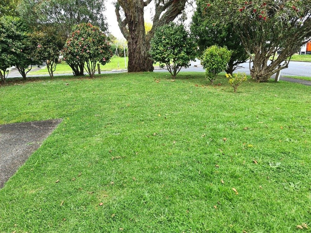 125 Reeves Road, Pakuranga Heights, Auckland - Carousel 20