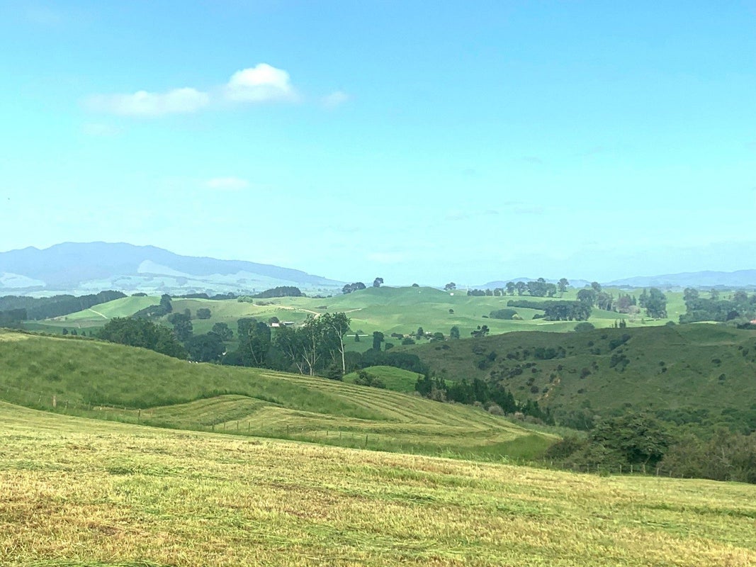 261 Paparamu Road, Piarere, Tirau - Carousel 6