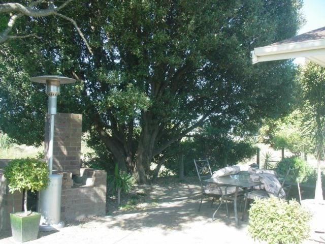 16 Titoki Crescent, Pirimai, Napier - Carousel 2
