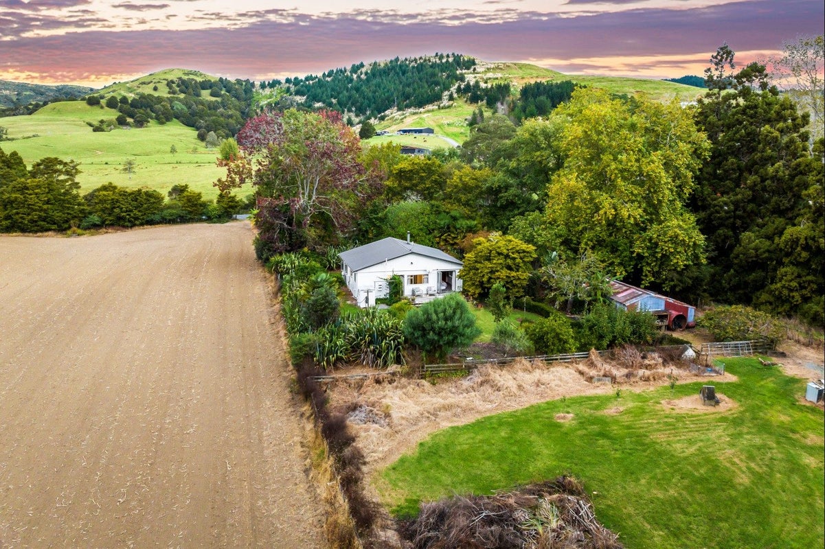 1003 Whangaripo Valley Road, Whangaripo, Wellsford - Carousel 2