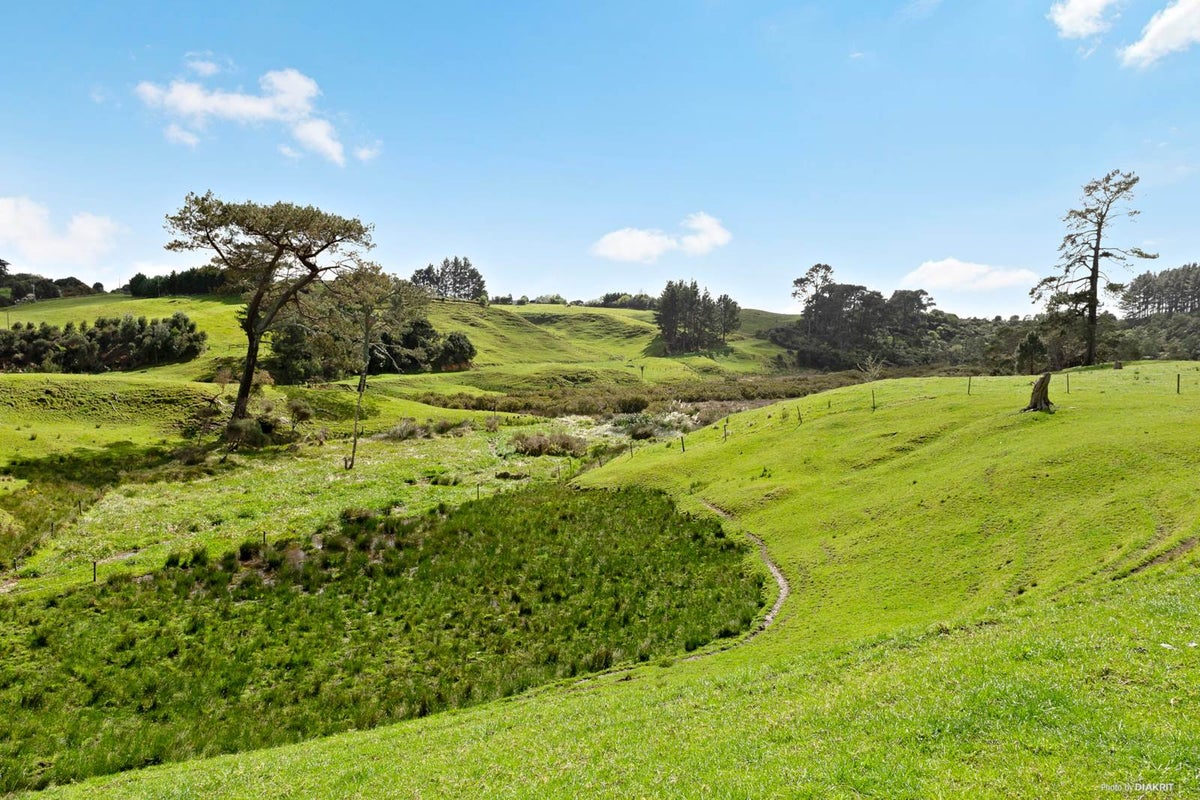 52 Taurangaruru Road, Waiuku, Waiuku - Carousel 1