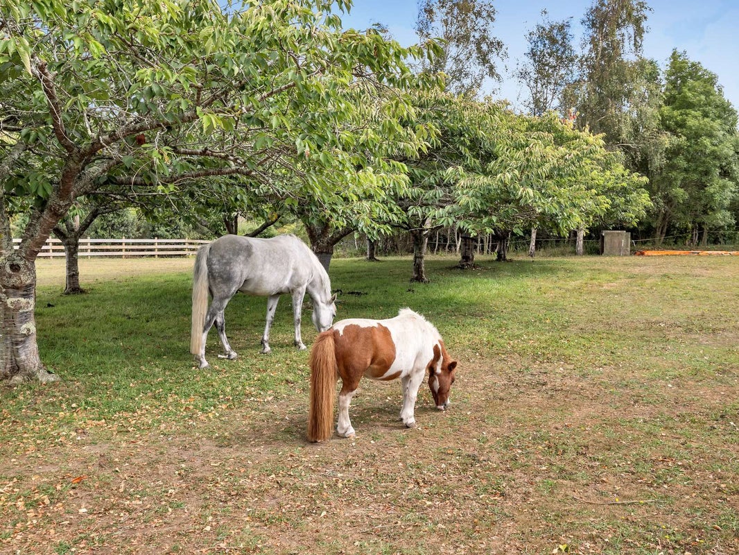 48A Simpson Road, Westmere, Whanganui - Carousel 2