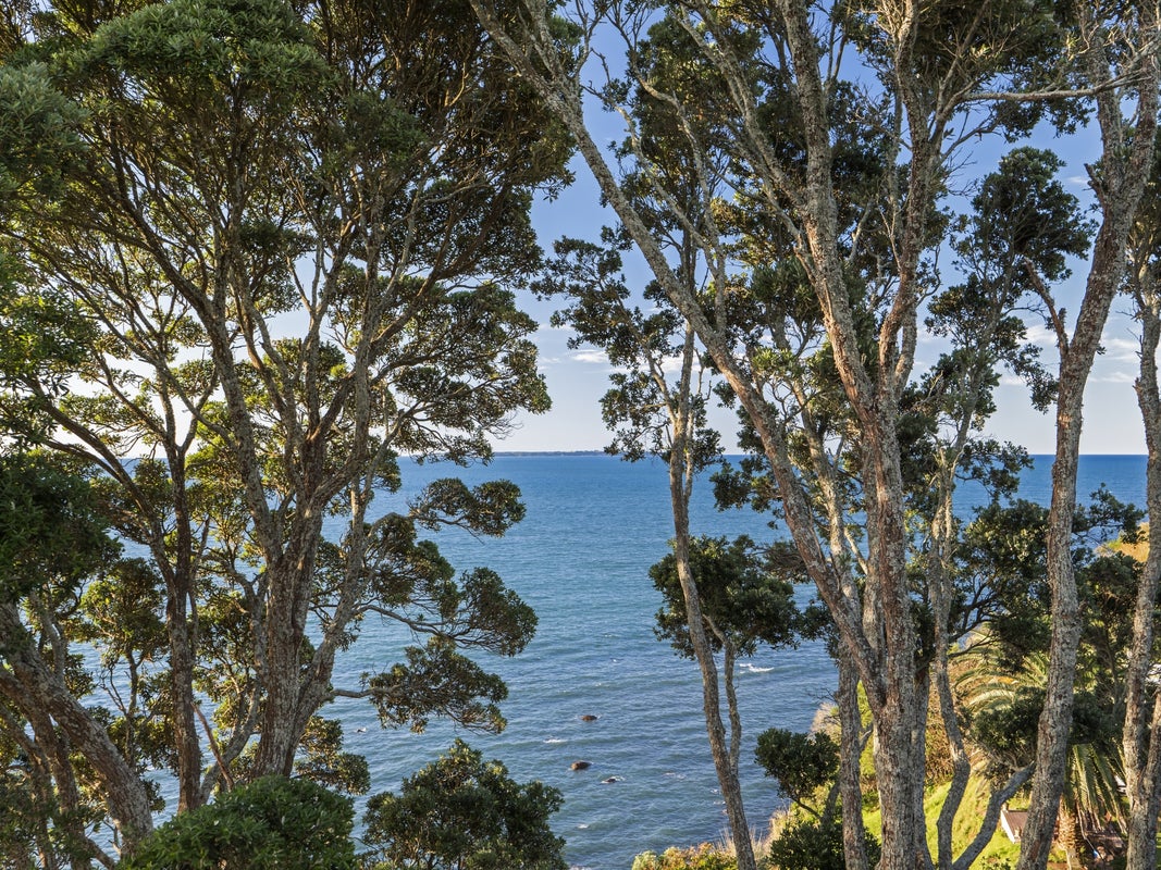 110 Town Point Road, Maketu, Te Puke - Carousel 26