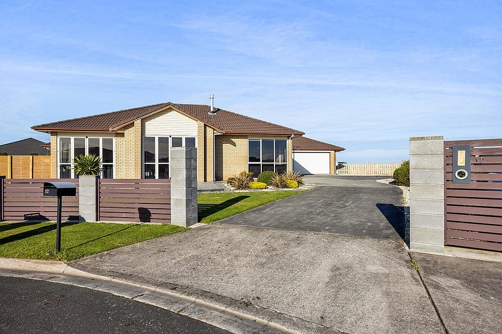 12 Denby Heights, Hawera - Carousel 25