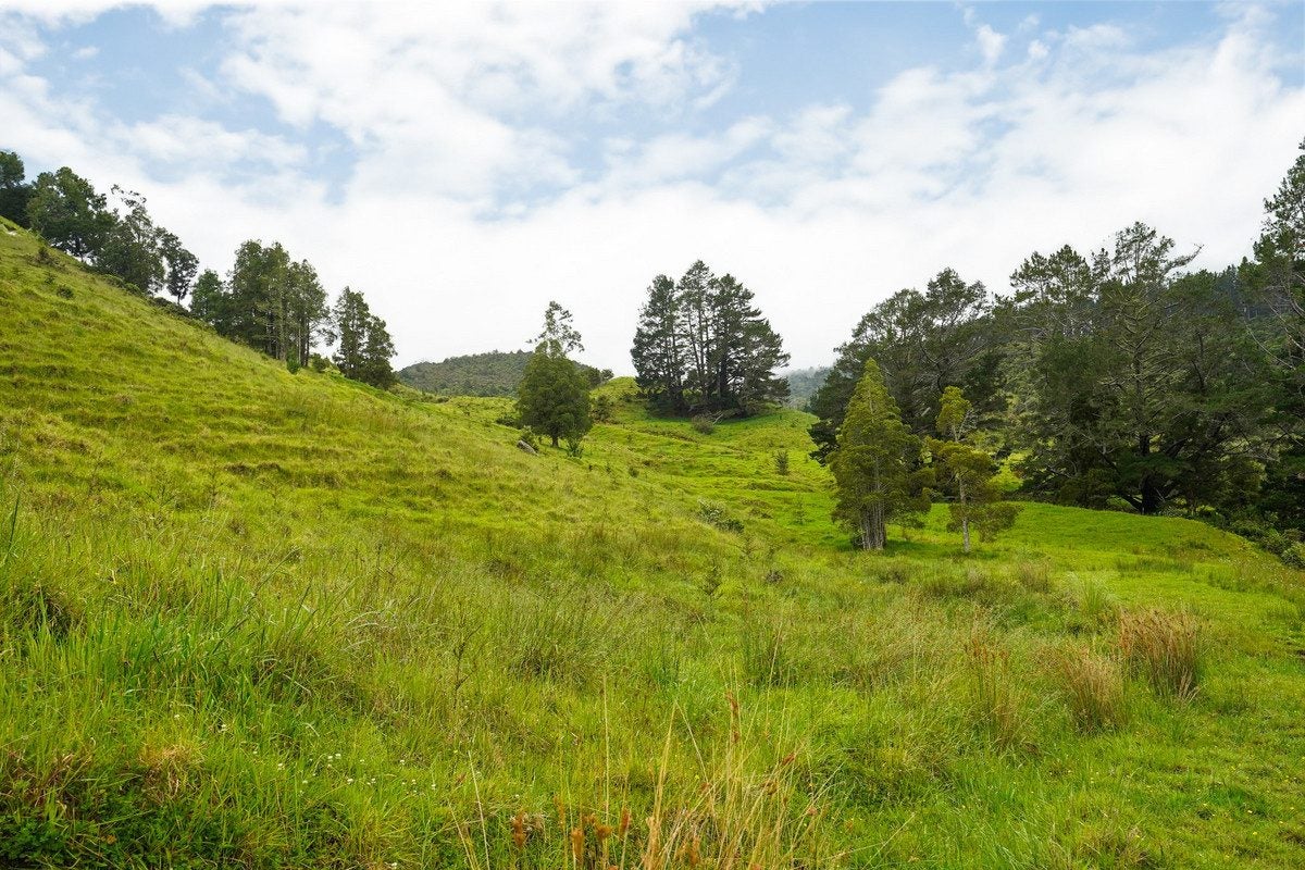 0 Warner Road, Takahue, Kaitaia - Carousel 1