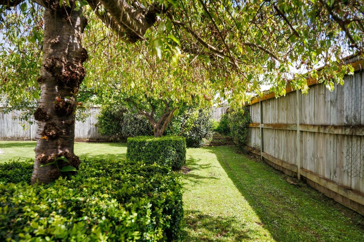 143 Oxford Street, Ashhurst, Ashhurst - Carousel 15
