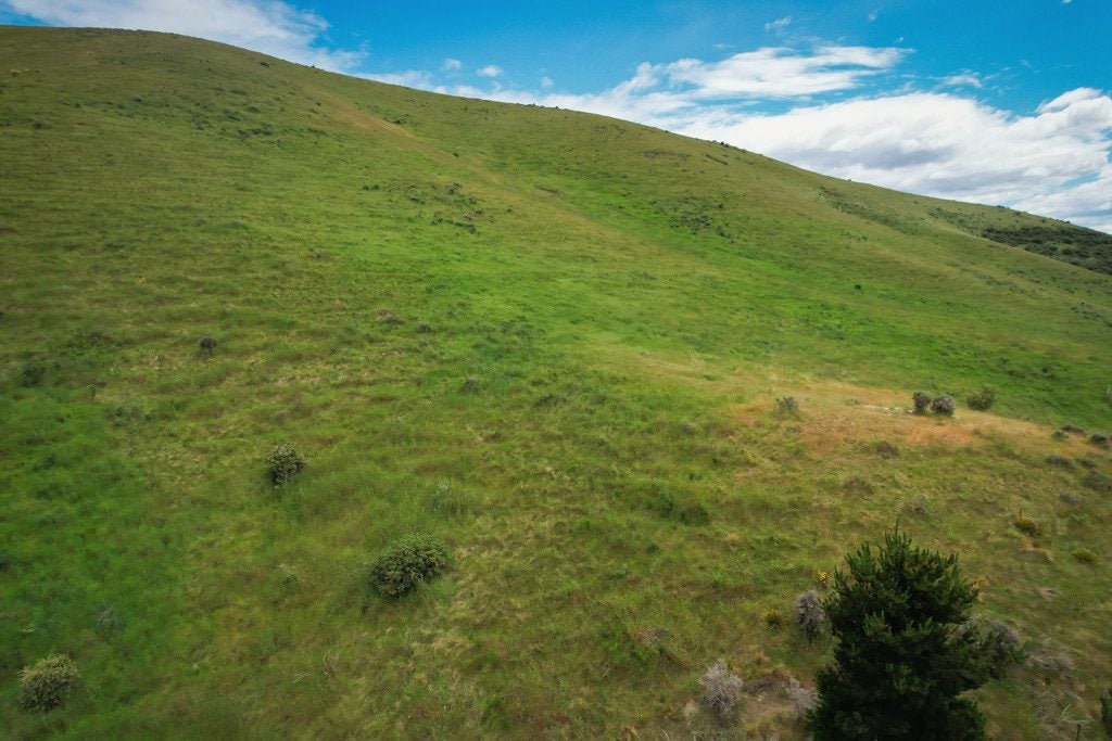 0 Waitapu Creek Road, Kaeo, Kaeo - Carousel 14