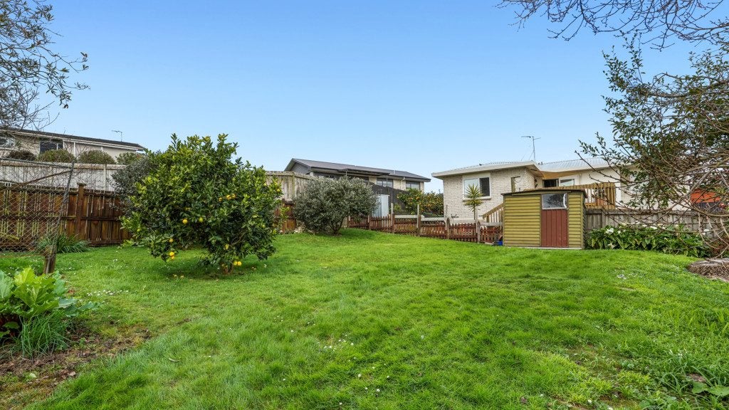12 Thomson Avenue, Dinsdale, Hamilton - Carousel 19