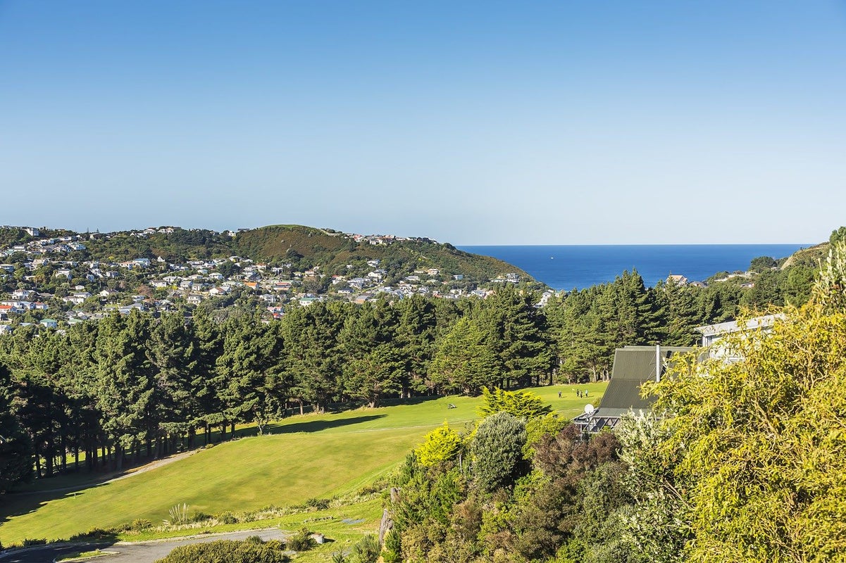 33 Priscilla Crescent, Kingston, Wellington - Carousel 2
