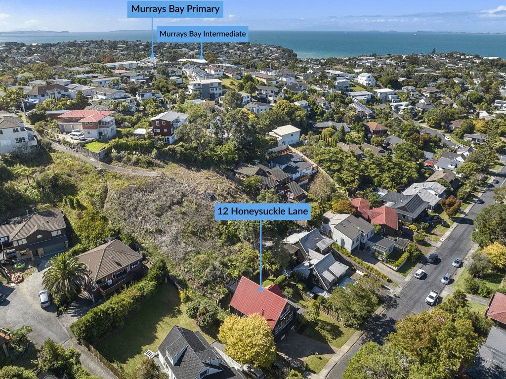 12 Honeysuckle Lane, Mairangi Bay, Auckland - Carousel 2