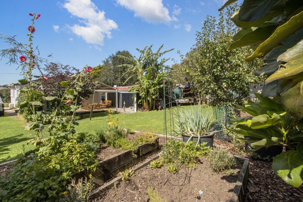 11 Boyd Street, Katikati, Katikati - Carousel 14