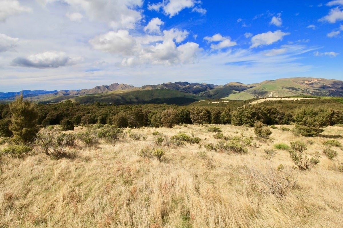 95 Tinline Terrace, Lyford, Waiau - Carousel 2