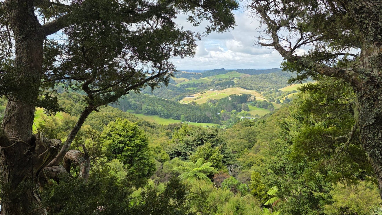 180 Noakes Hill Road, Silverdale - Carousel 1