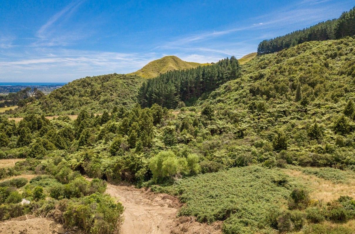 125 Kaitawa Road, Hautere - Carousel 15