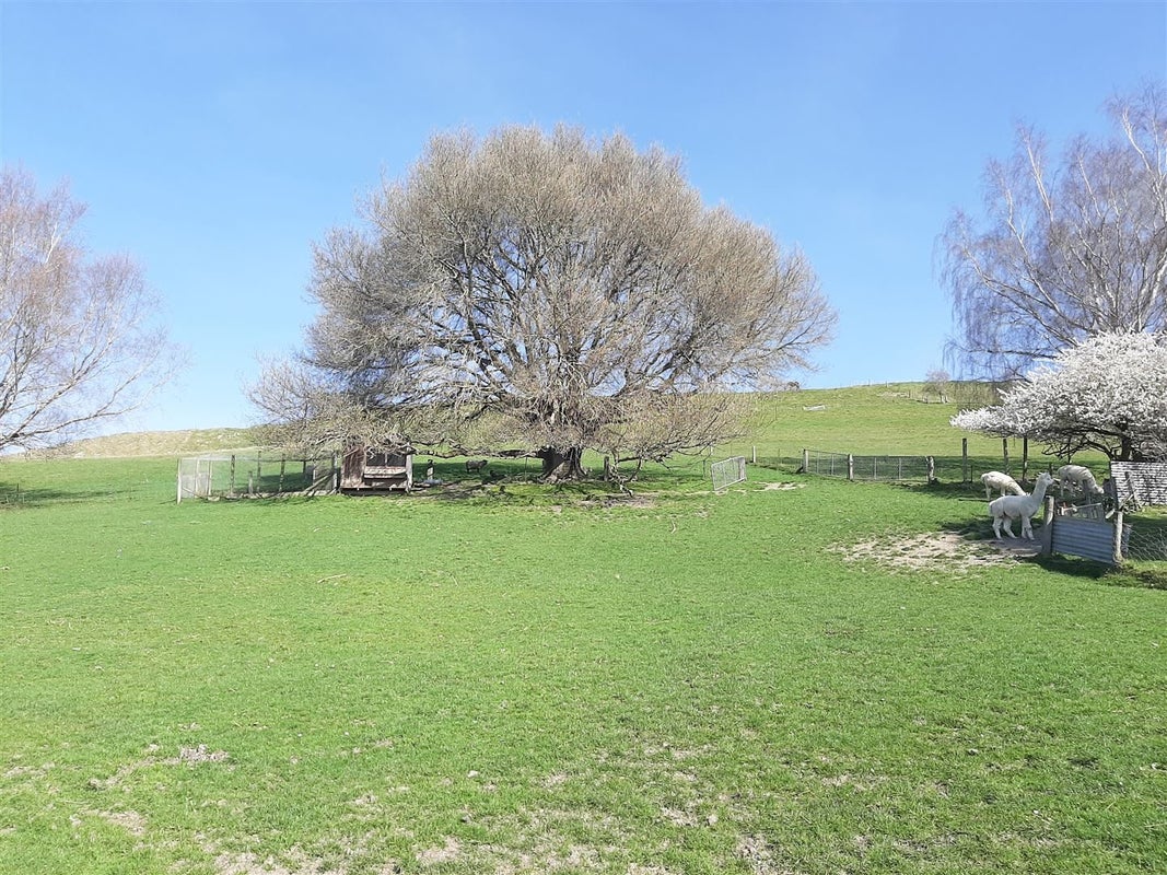 139 Talbot Street, East Gore, Gore - Carousel 49