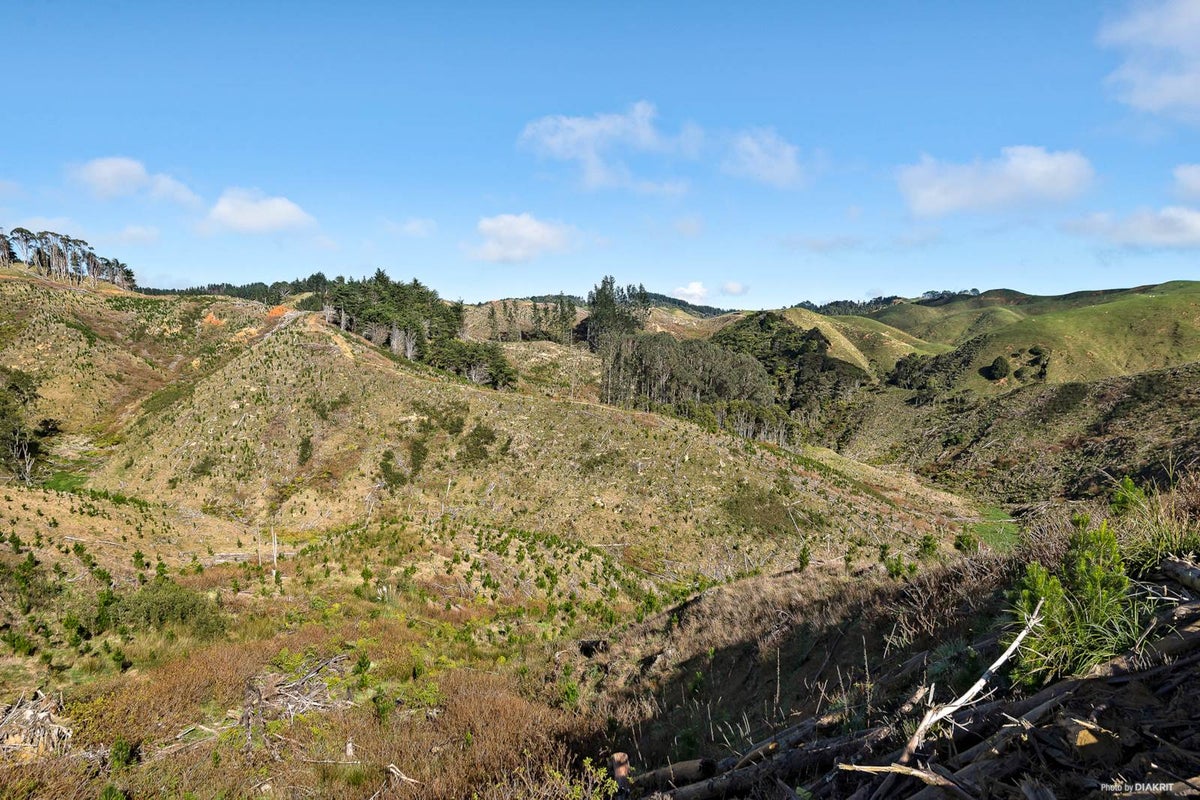 0 Waikaretu Valley Road, Glen Murray, Onewhero - Carousel 2
