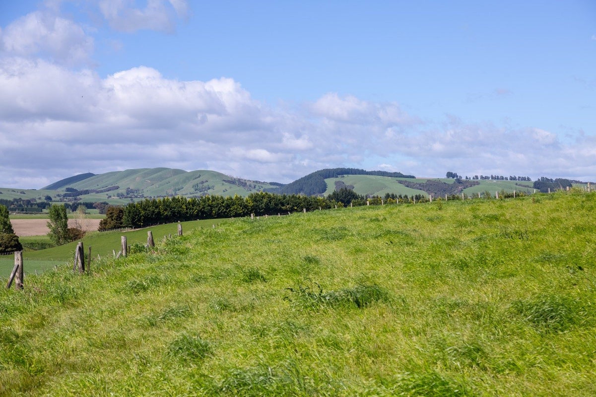216B Ahiaruhe Road, Ahiaruhe, Carterton - Carousel 1