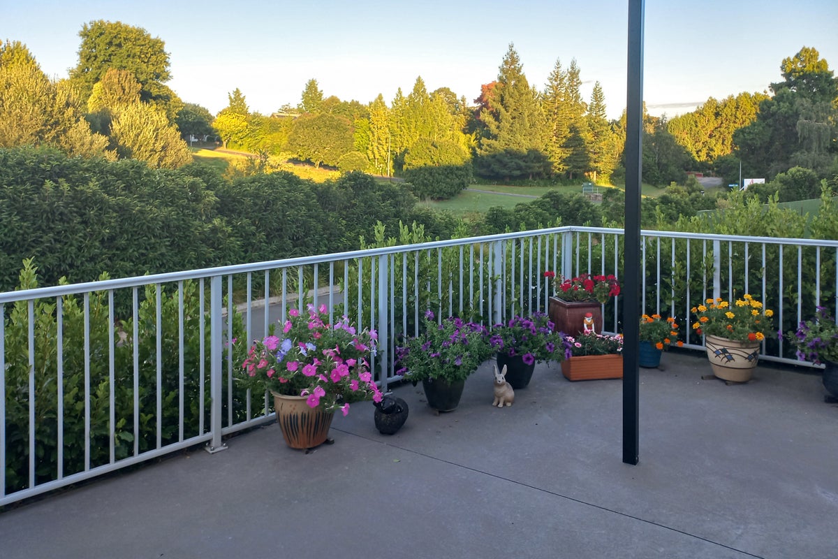 65C KAYELENE PLACE, Omokoroa, Omokoroa - Carousel 2