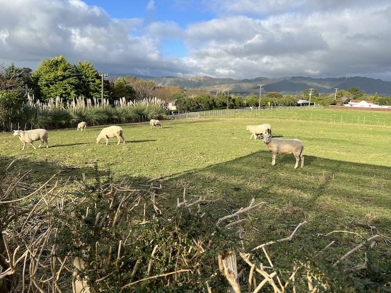 25 Kukutauaki Road, Koputaroa, Kaputaroa, Levin - Carousel 19